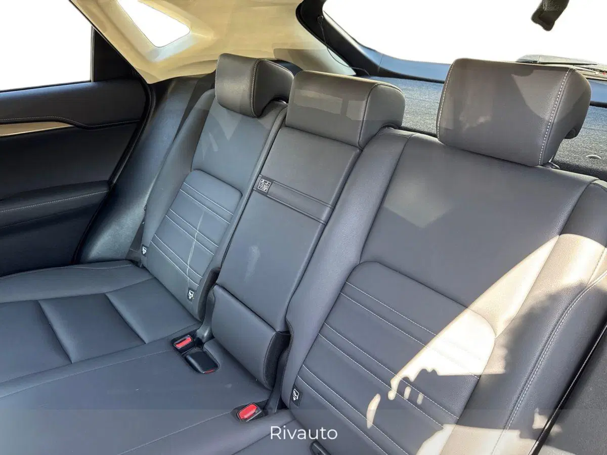 Lexus NX usata a Como (11)