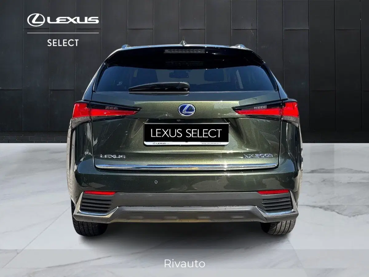 Lexus NX usata a Como (12)