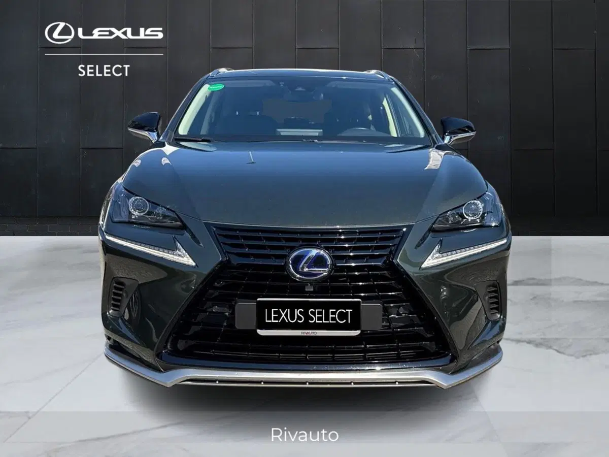 Lexus NX usata a Como (13)