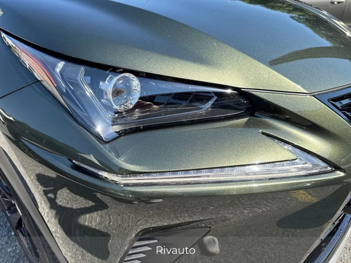 Lexus NX usata a Como (14)