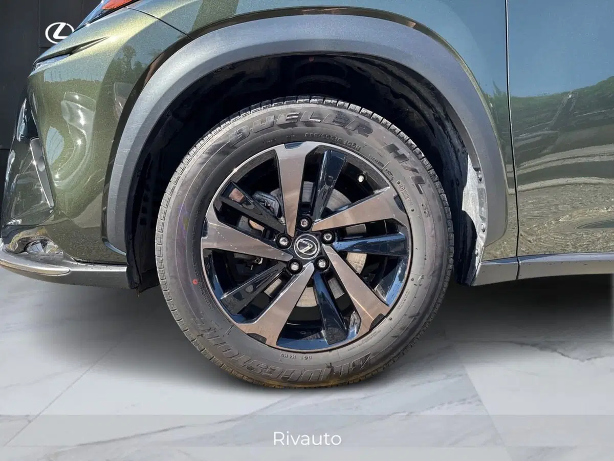 Lexus NX usata a Como (15)