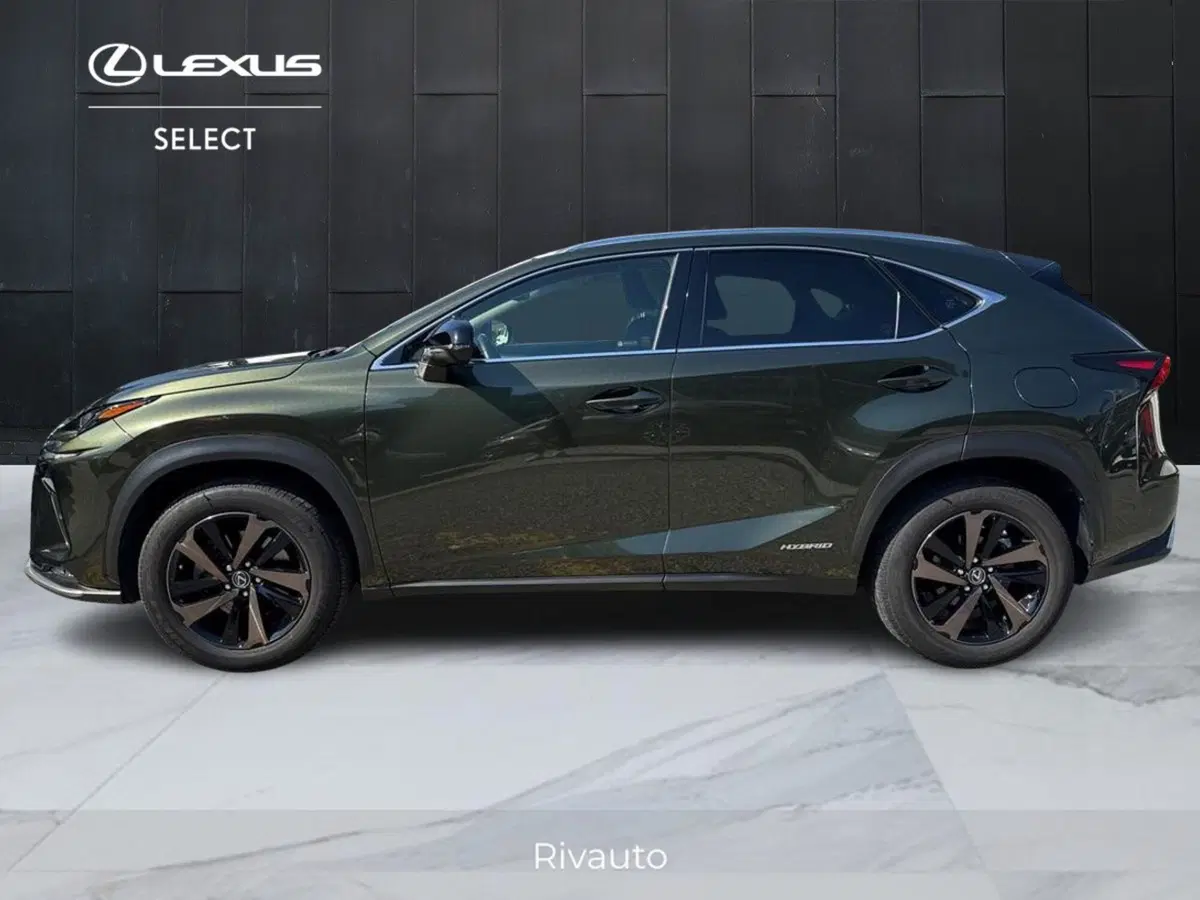 Lexus NX usata a Como (3)