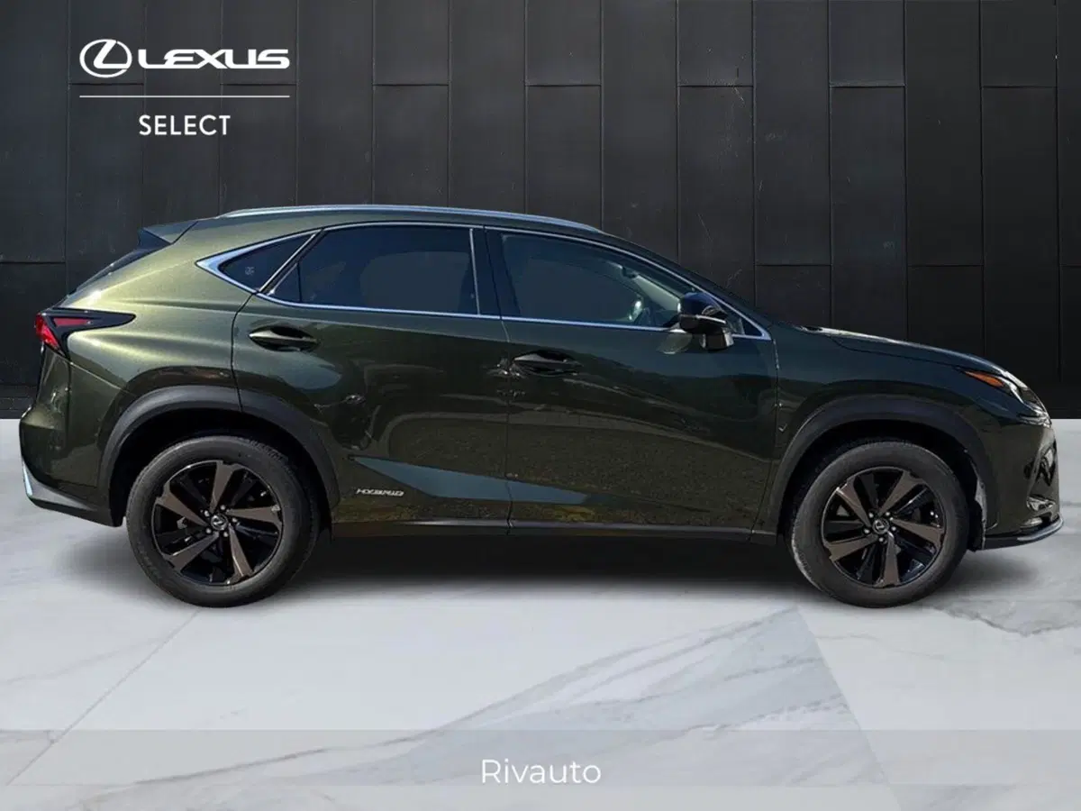 Lexus NX usata a Como (4)