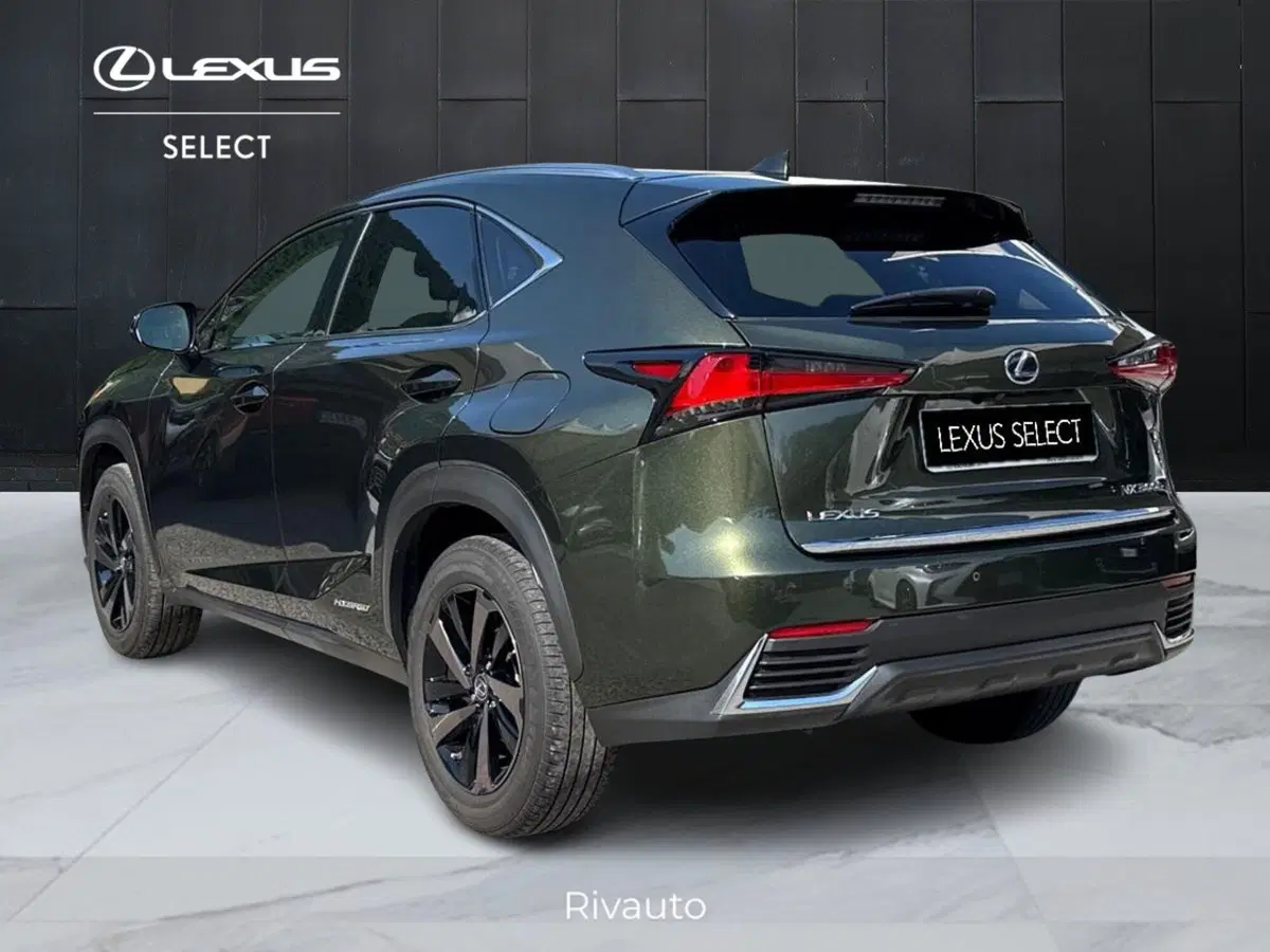 Lexus NX usata a Como (5)