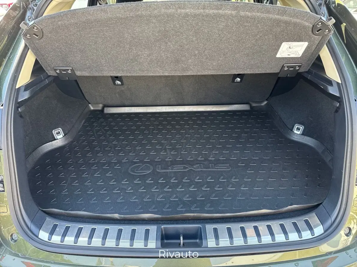 Lexus NX usata a Como (6)