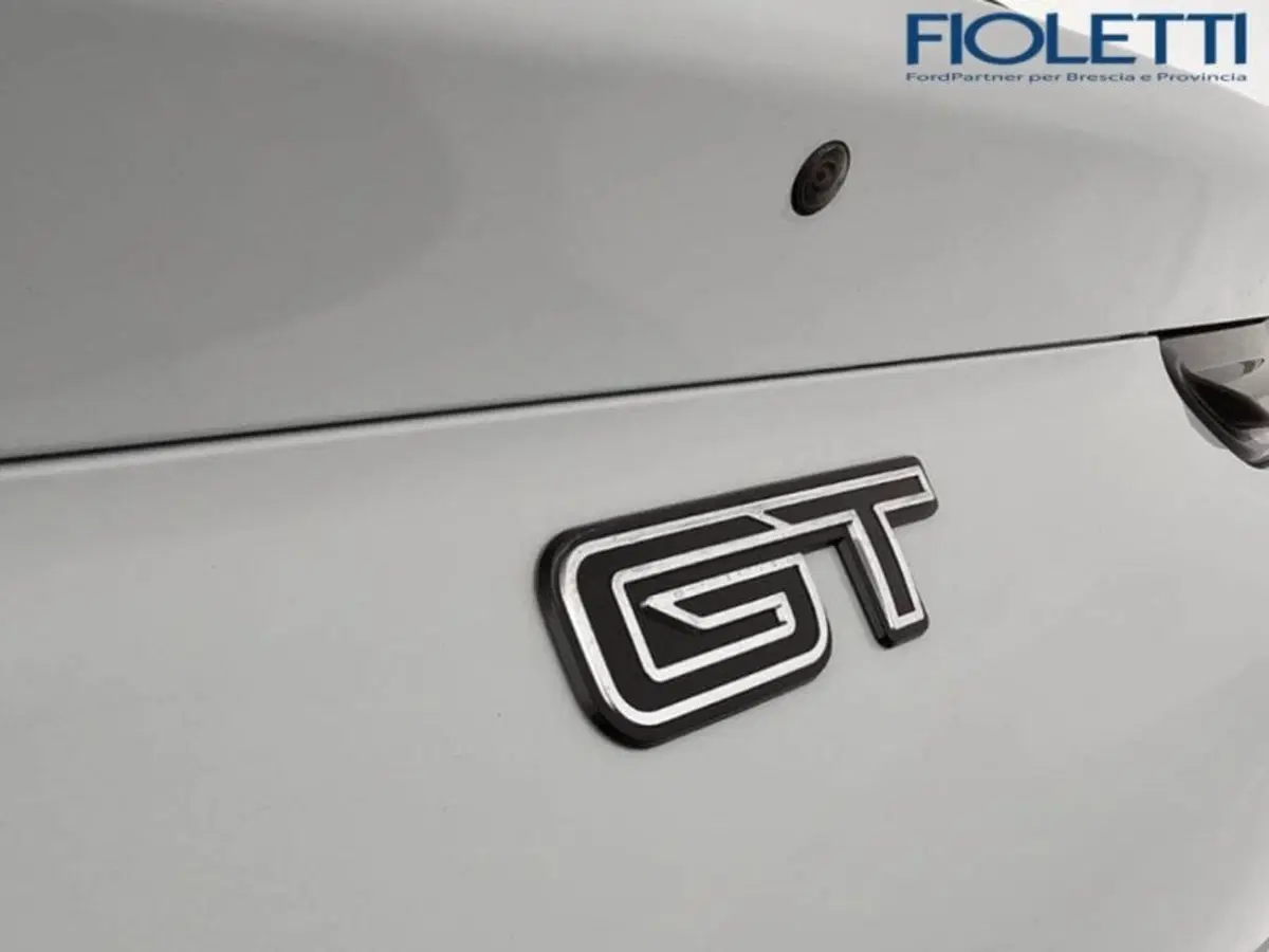 Ford Mustang Mach-E usata a Brescia (18)