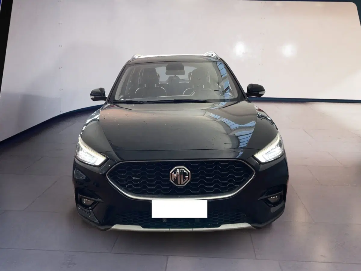 Mg ZS usata a Torino