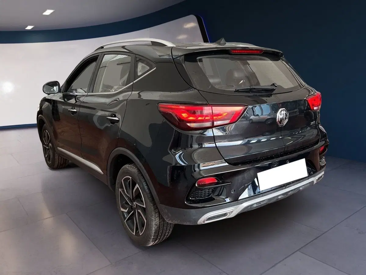 Mg ZS usata a Torino (6)