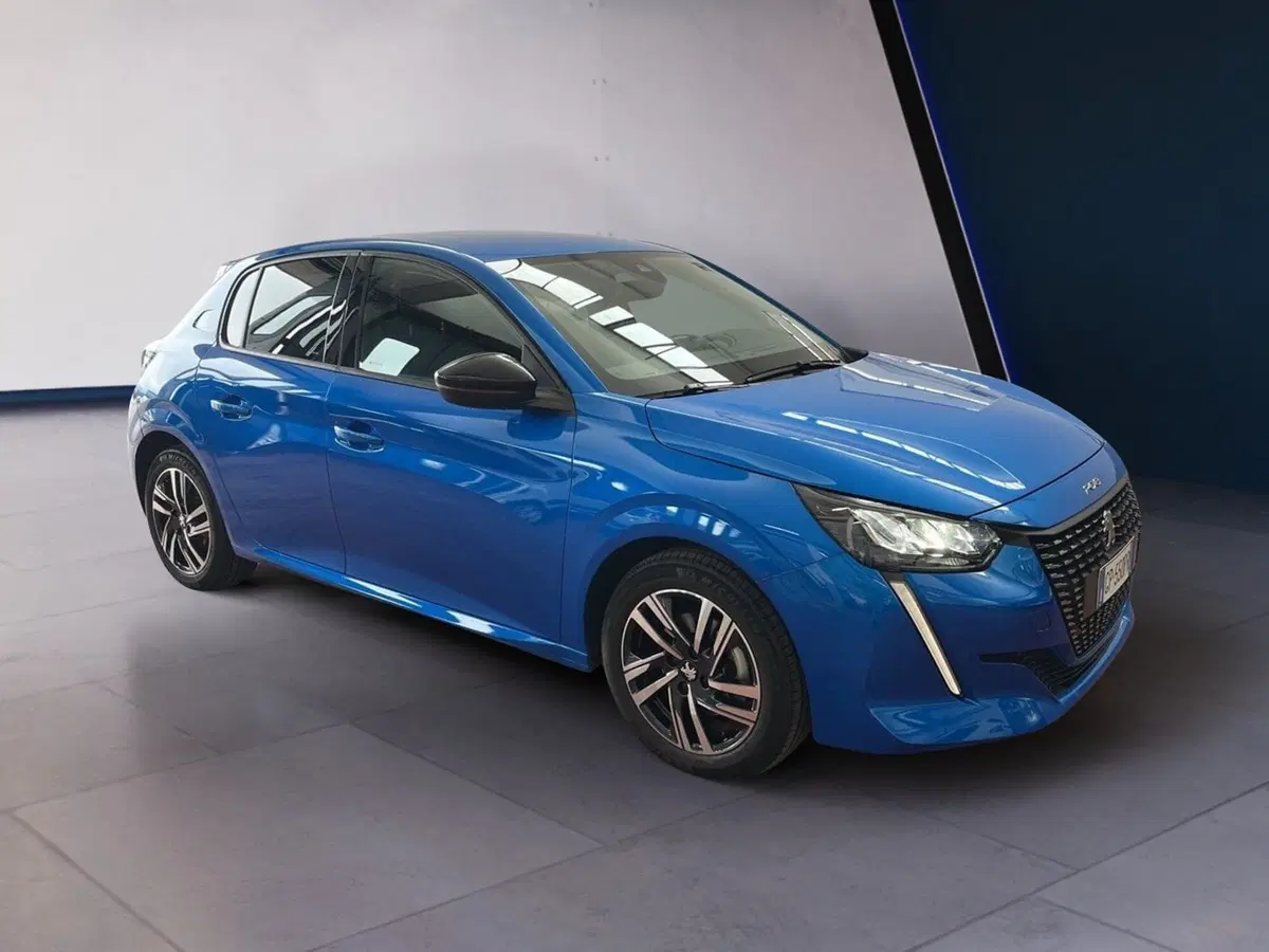 Peugeot 208 usata a Torino (2)