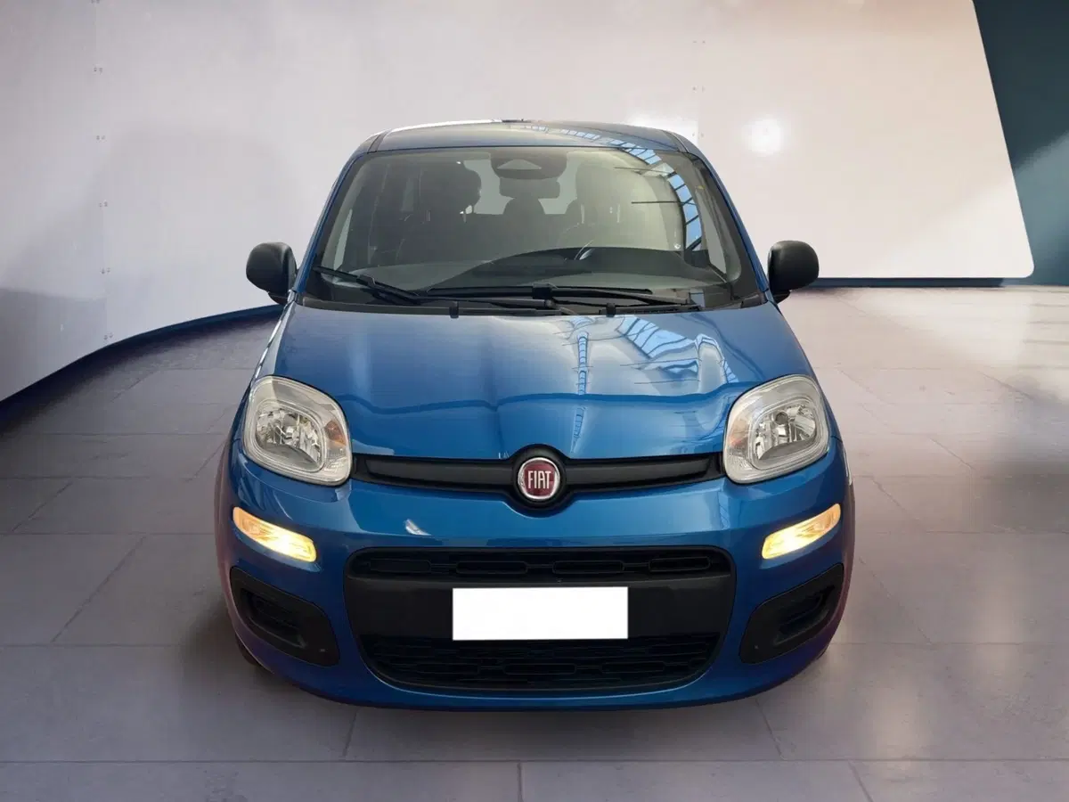 Fiat Pandina usata a Torino