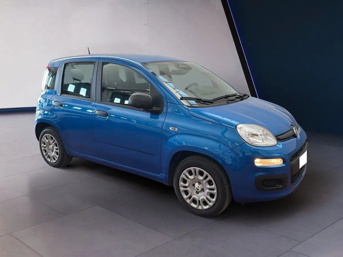 Fiat Pandina usata a Torino (2)
