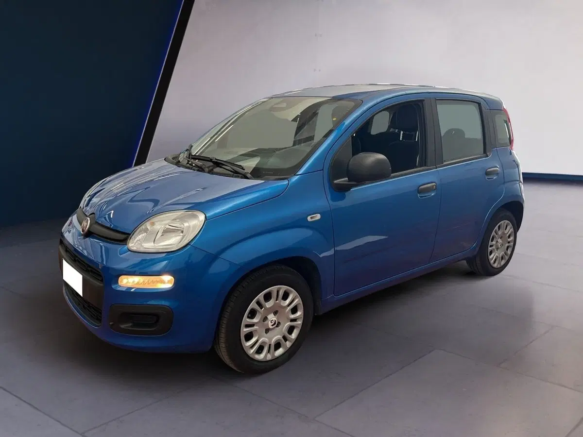 Fiat Pandina usata a Torino (3)