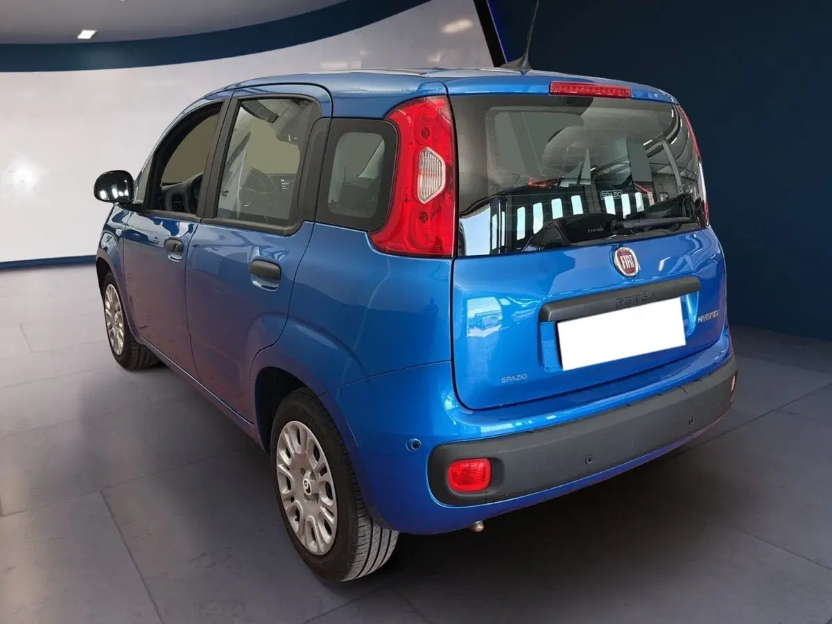 Fiat Pandina usata a Torino (4)