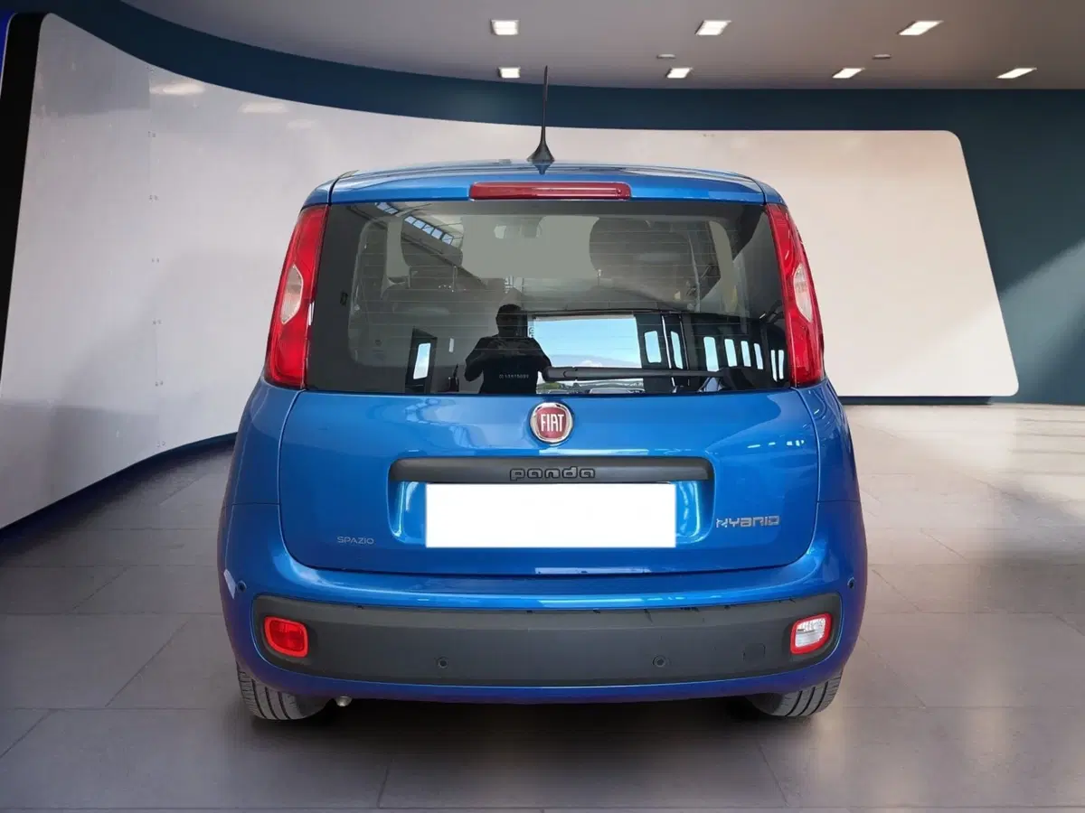 Fiat Pandina usata a Torino (5)