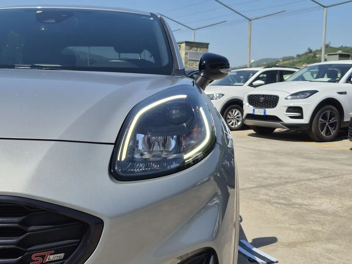 Ford Puma usata  (17)