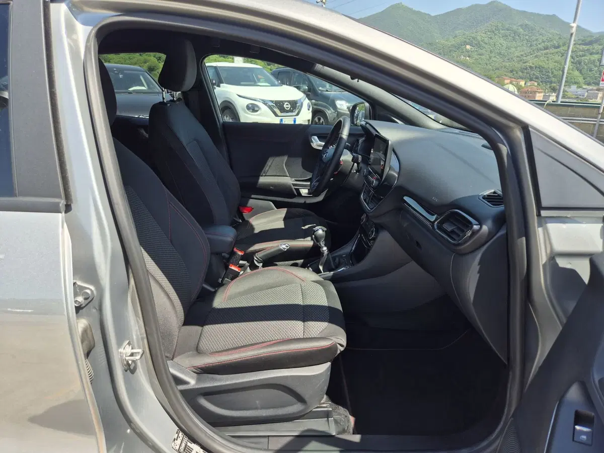 Ford Puma usata  (9)
