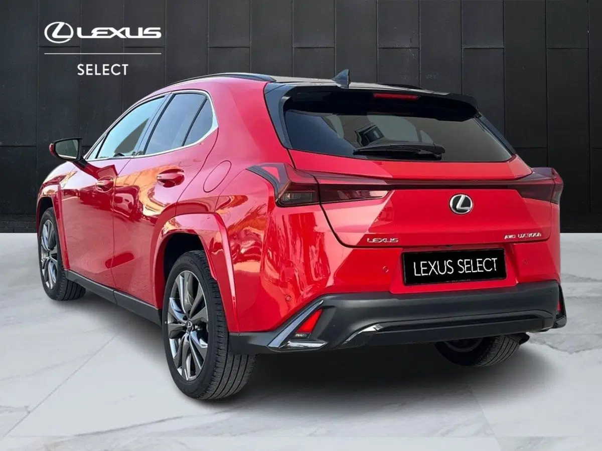 Lexus UX usata a Ragusa (5)