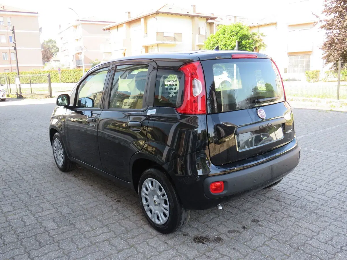 Fiat Pandina nuova a Monza e Brianza (3)
