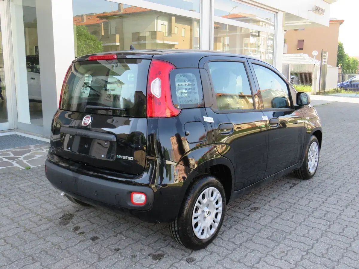 Fiat Pandina nuova a Monza e Brianza (4)