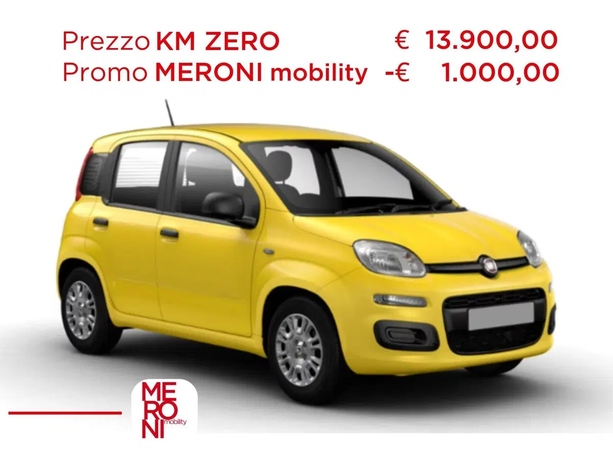 Fiat Pandina nuova a Monza e Brianza