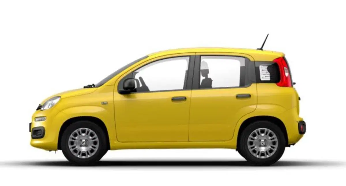 Fiat Pandina nuova a Monza e Brianza (2)