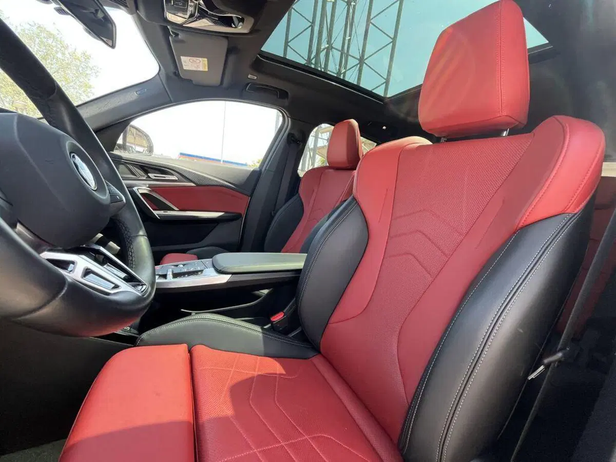 BMW X2 usata a Alessandria (11)