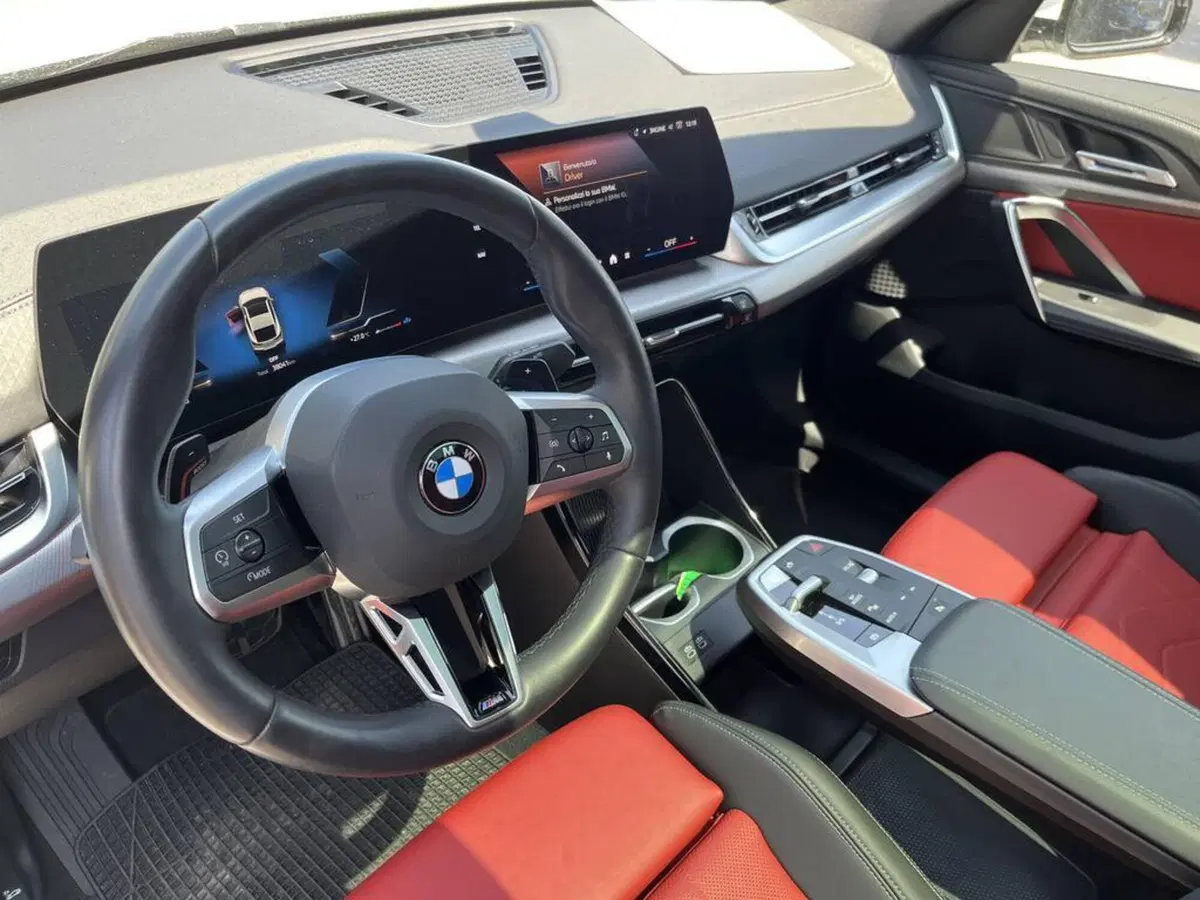 BMW X2 usata a Alessandria (12)