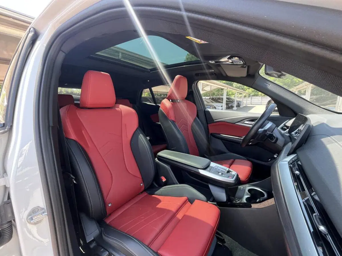BMW X2 usata a Alessandria (13)