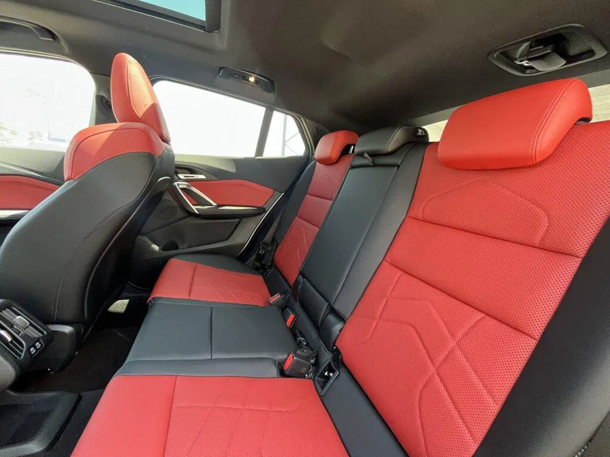 BMW X2 usata a Alessandria (15)