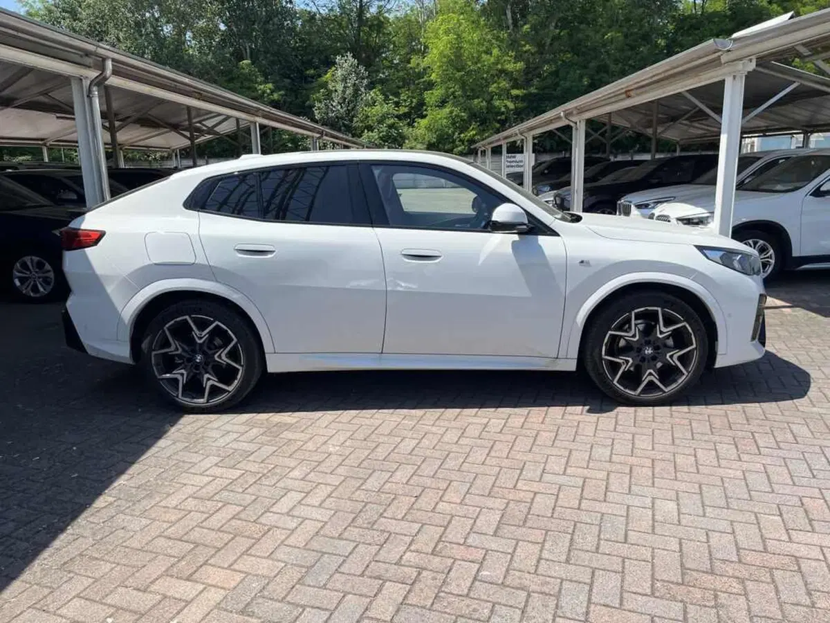 BMW X2 usata a Alessandria (4)
