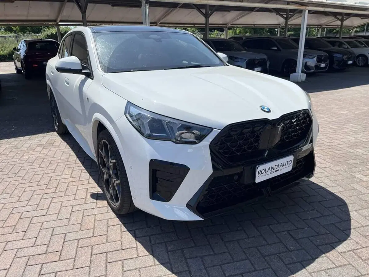 BMW X2 usata a Alessandria (6)