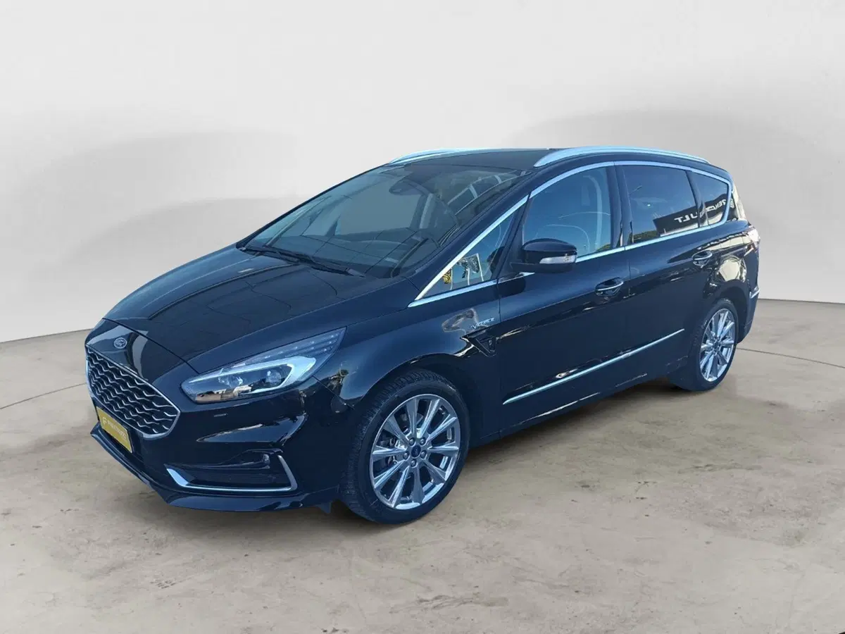 Ford S-Max usata a Ancona