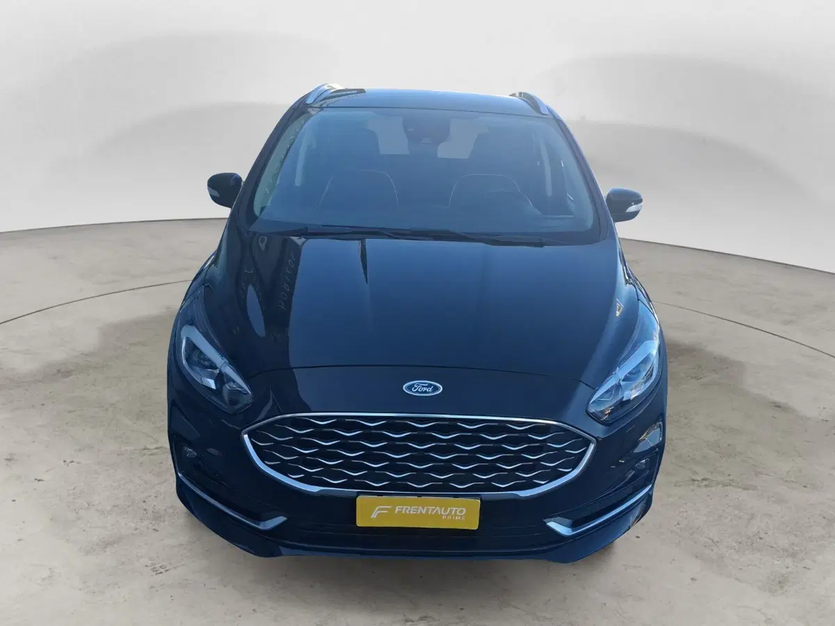 Ford S-Max usata a Ancona (3)