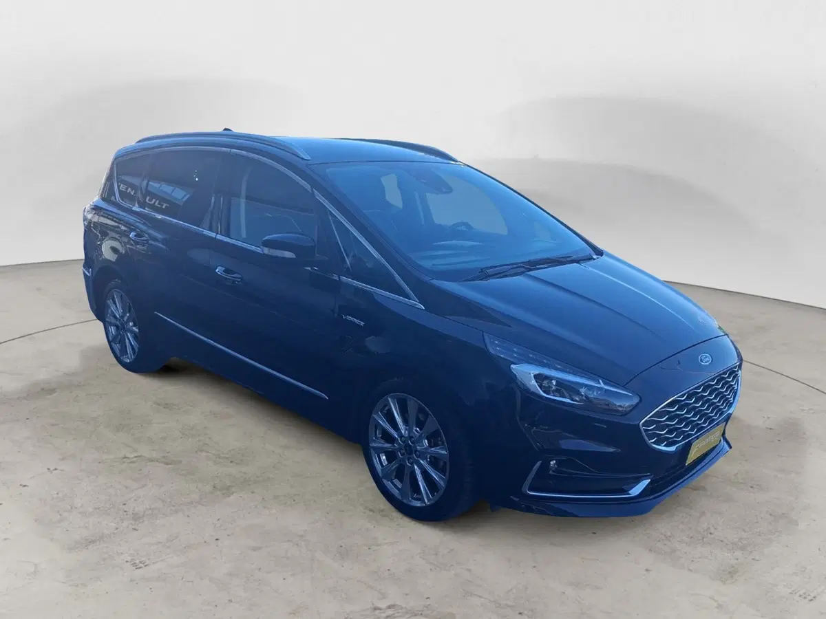 Ford S-Max usata a Ancona (4)