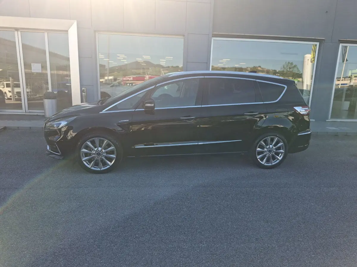 Ford S-Max usata a Ancona (5)