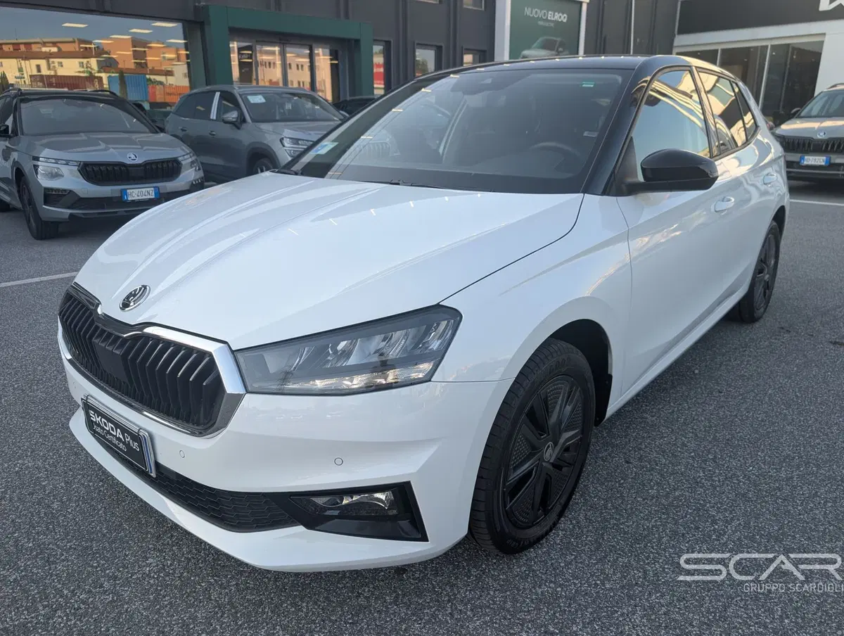 Skoda Fabia usata a Livorno