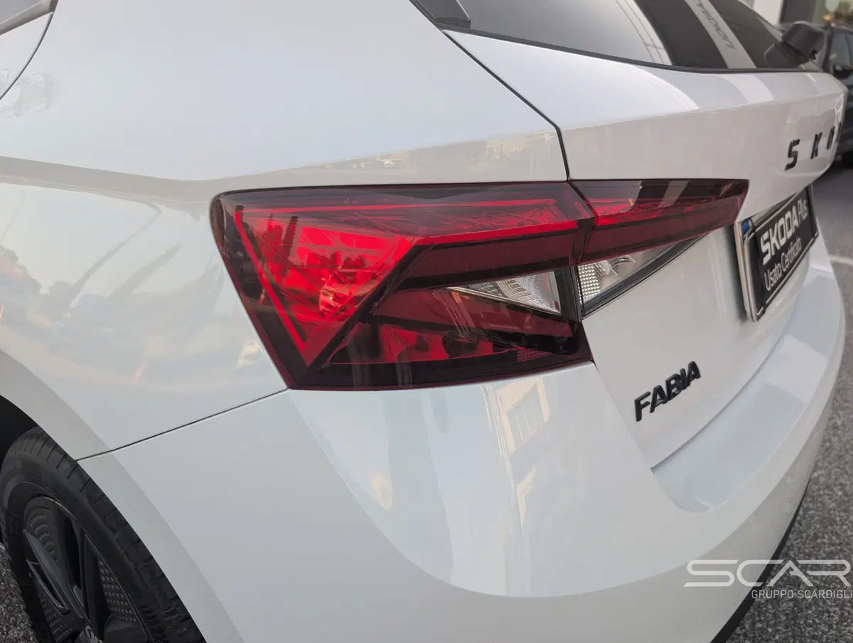 Skoda Fabia usata a Livorno (12)