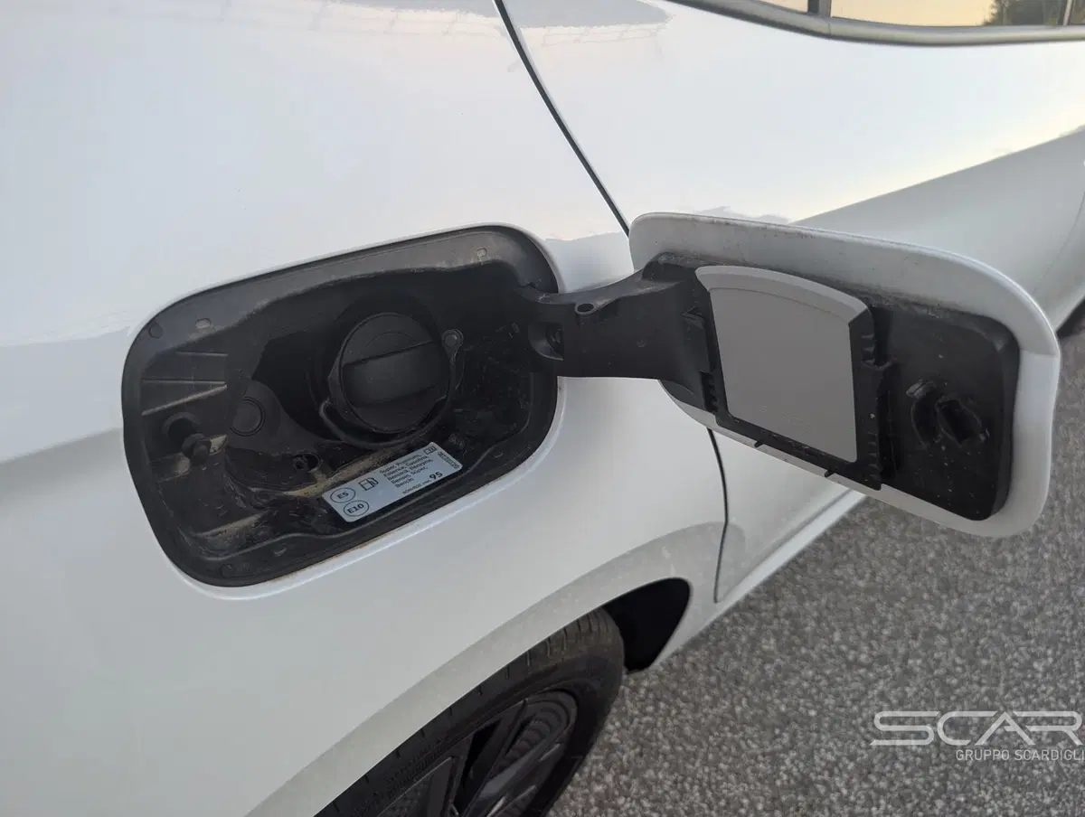 Skoda Fabia usata a Livorno (15)
