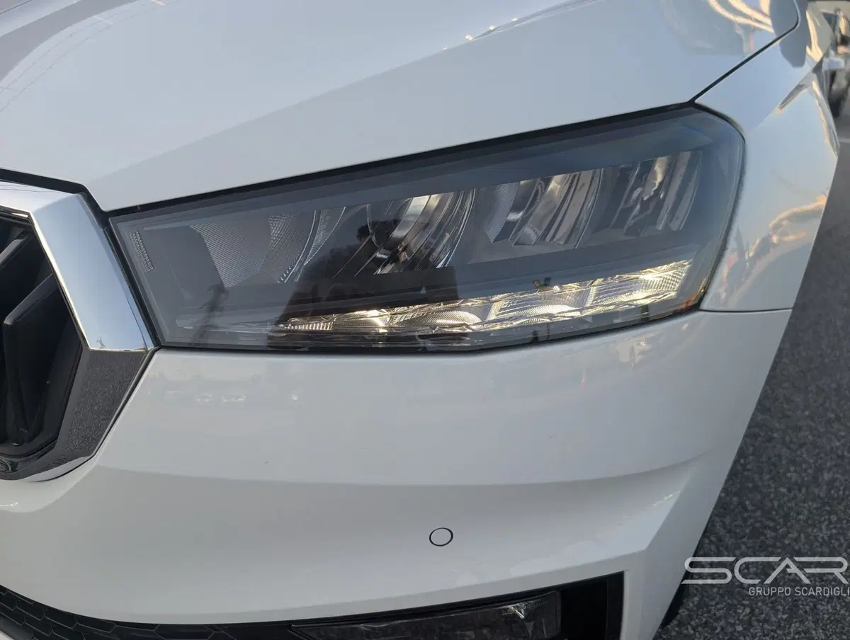 Skoda Fabia usata a Livorno (16)