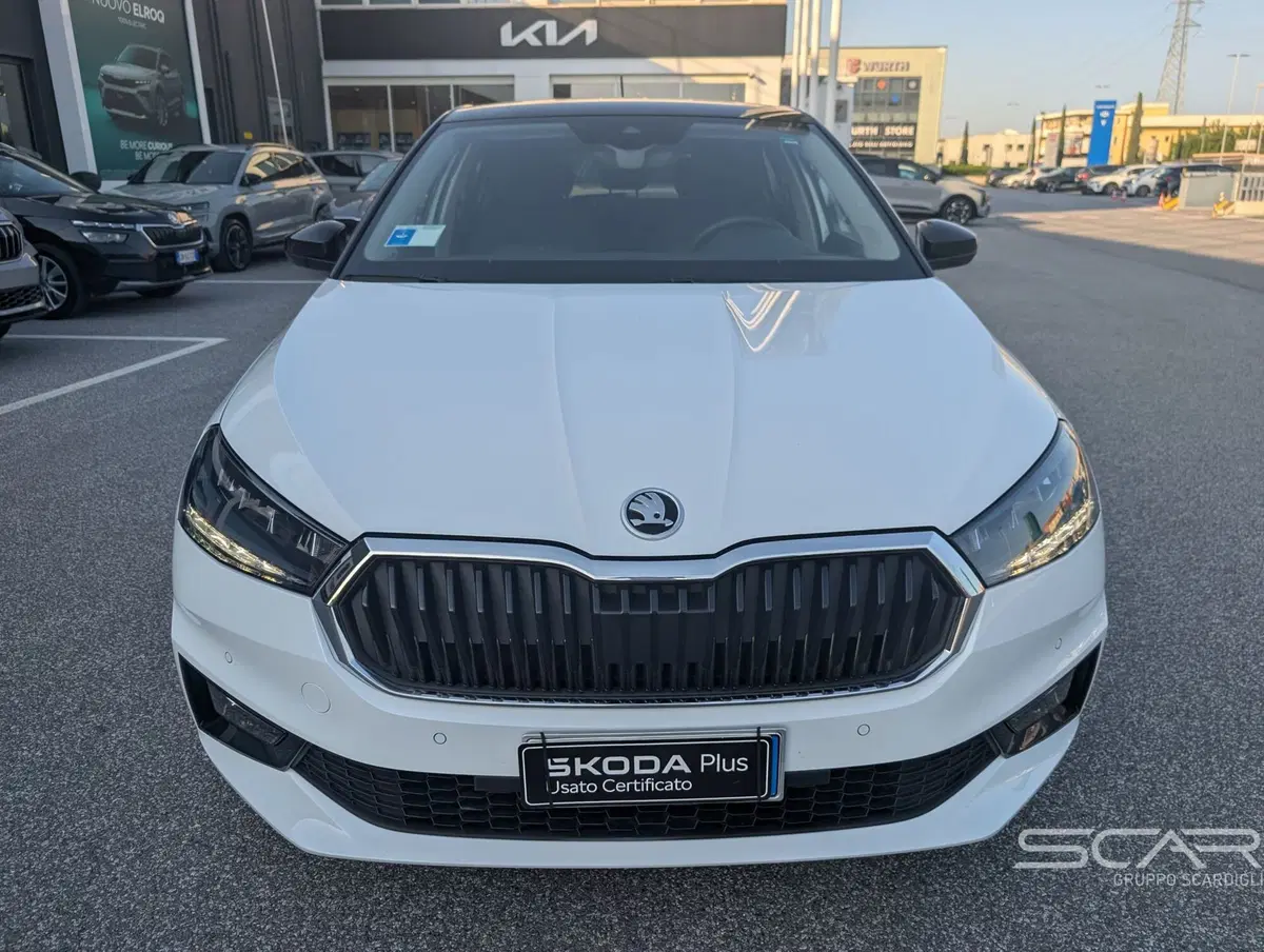 Skoda Fabia usata a Livorno (2)