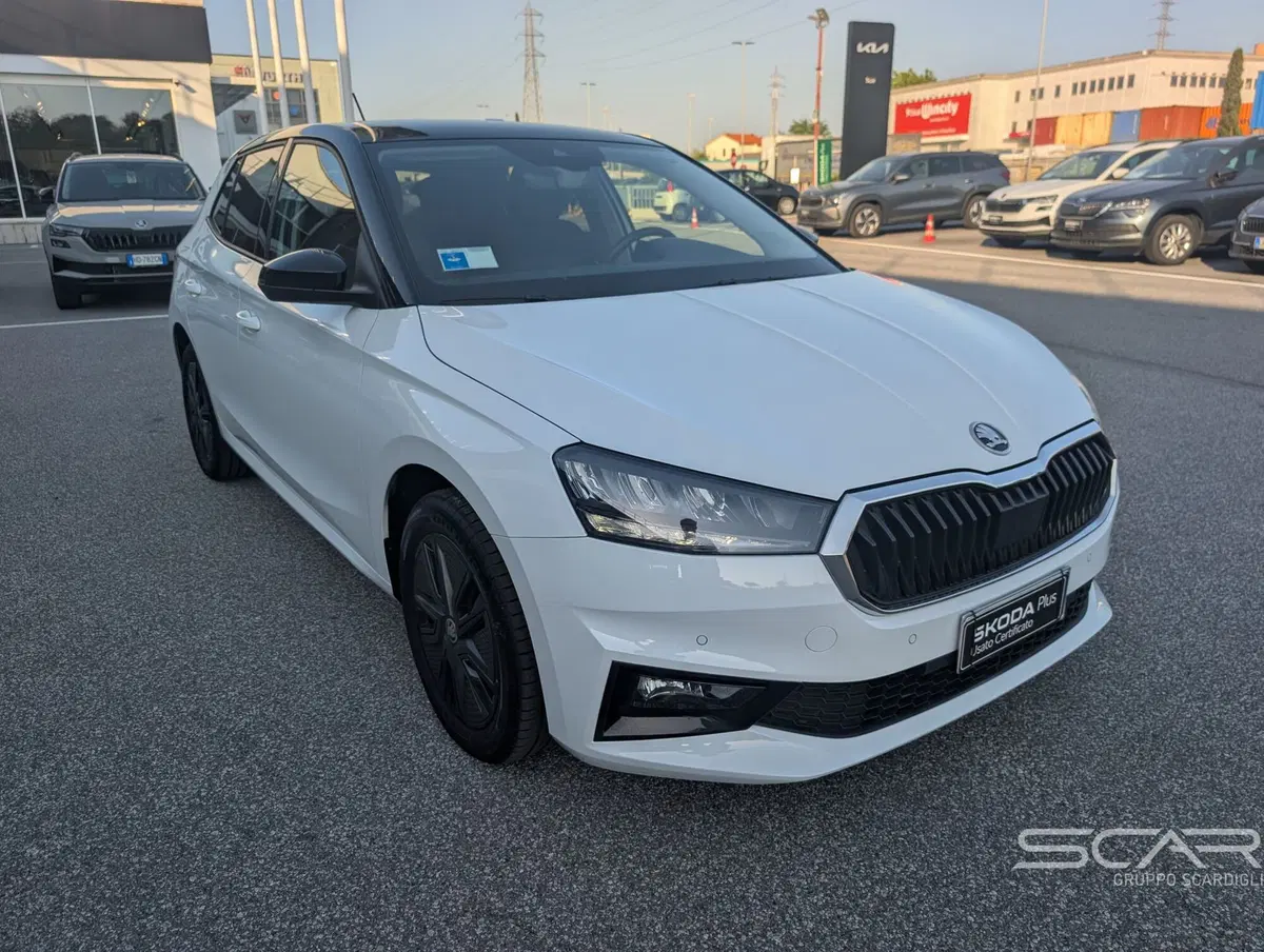 Skoda Fabia usata a Livorno (3)