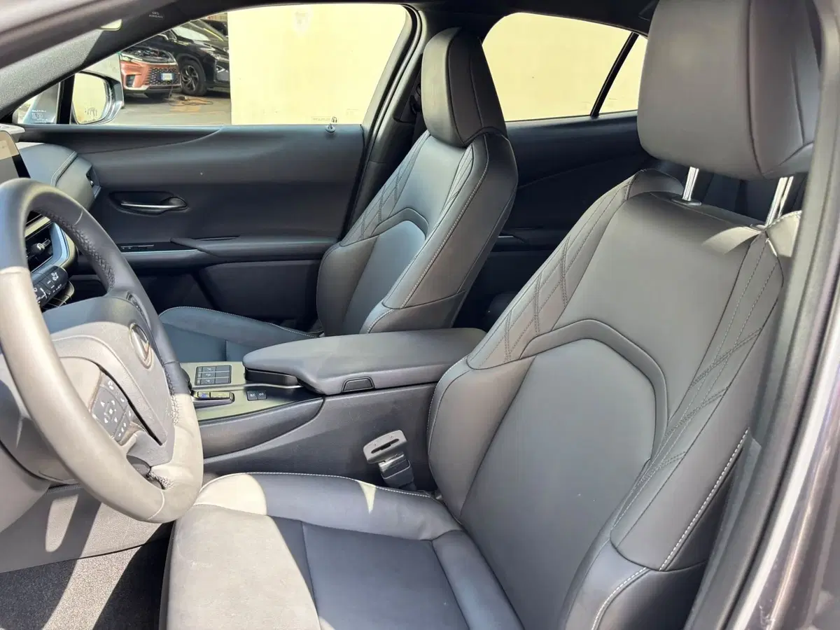 Lexus UX usata a Modena (13)