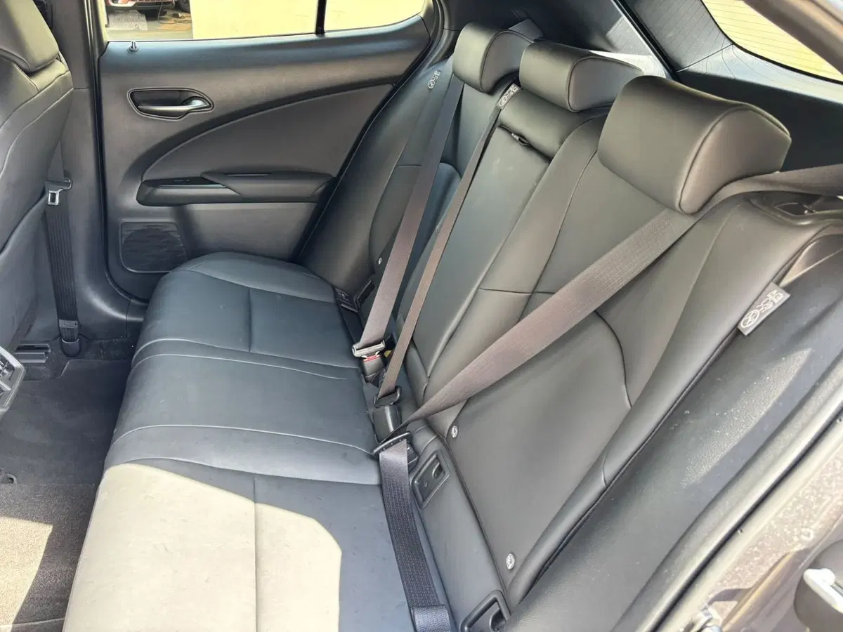 Lexus UX usata a Modena (14)
