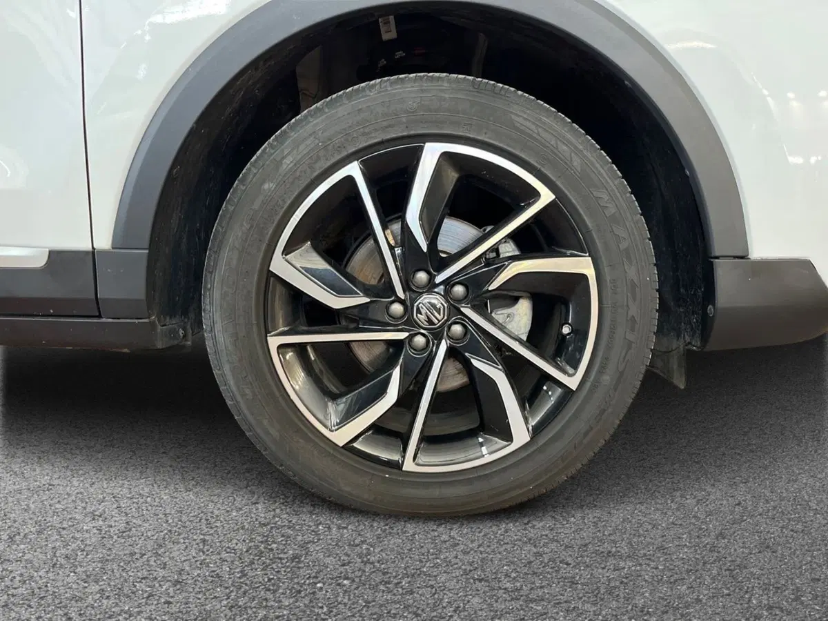 Mg ZS usata a Bari (6)