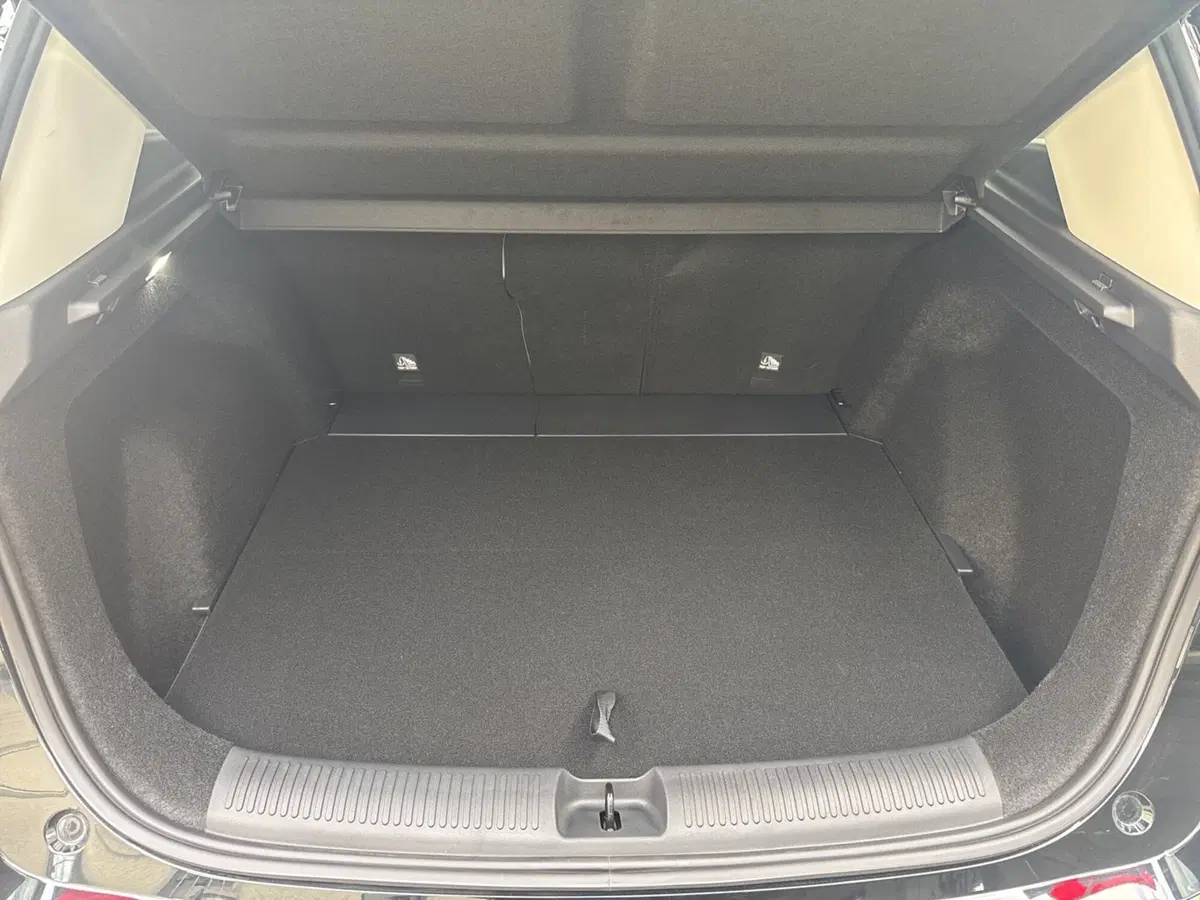 Mg ZS nuova a Ferrara (16)