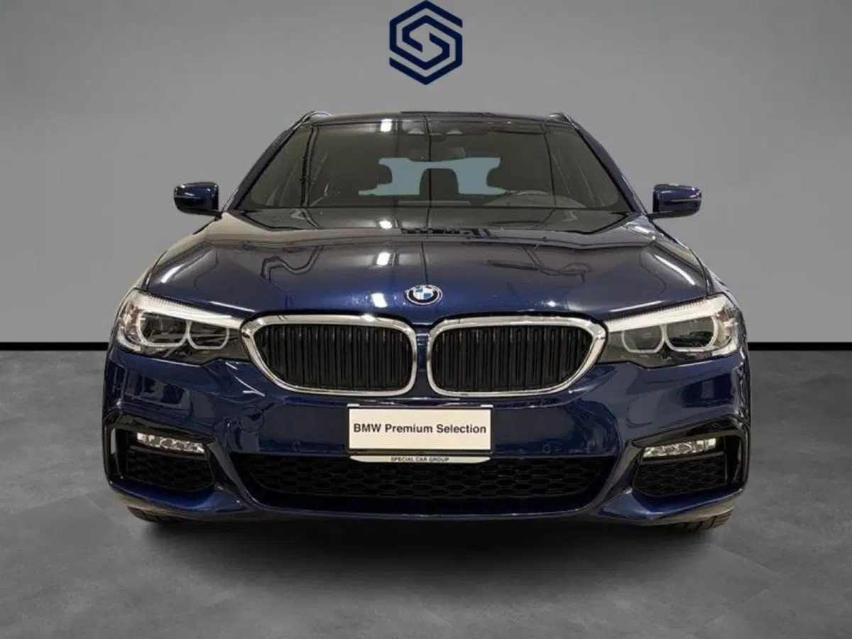 BMW Serie 5 Touring usata a Cagliari (7)