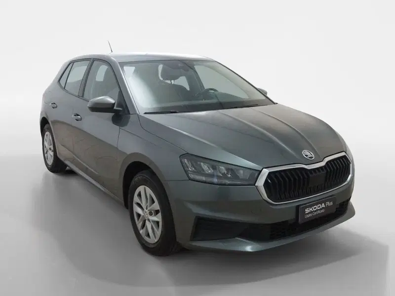 Skoda Fabia usata a Torino