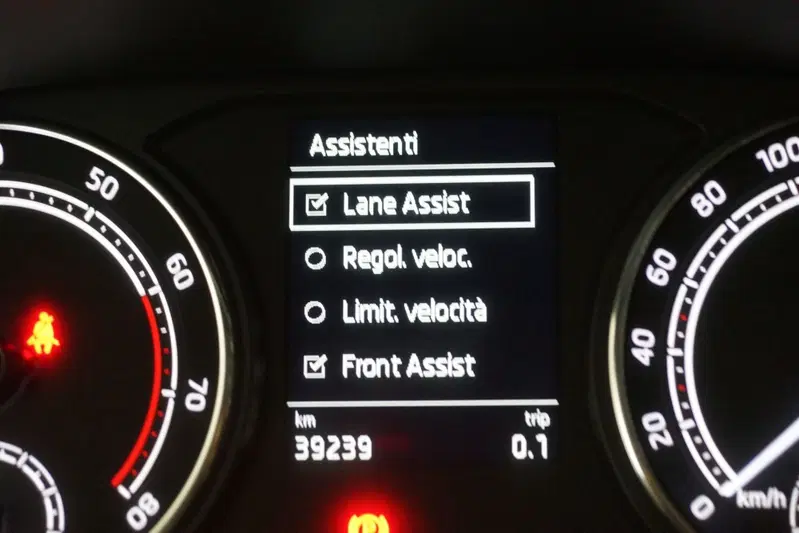 Skoda Fabia usata a Torino (15)