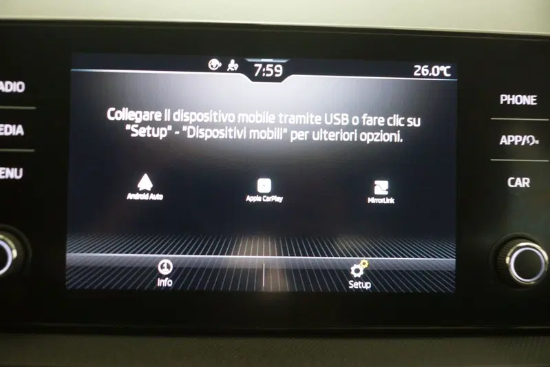 Skoda Fabia usata a Torino (18)