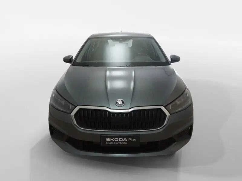 Skoda Fabia usata a Torino (2)